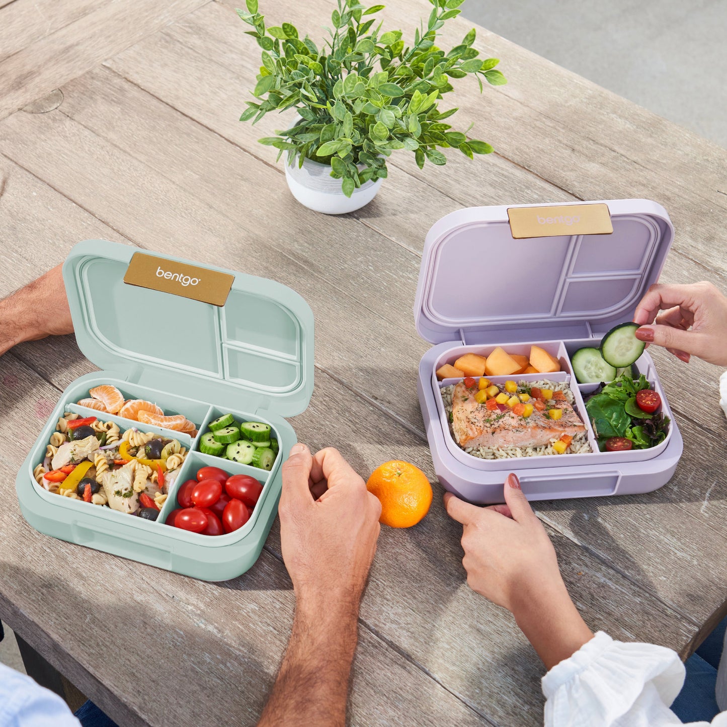 bentgo-modern-lunch-box-2-pack-w9 COSTCOBMCPRODUCTIMAGE_2.jpg